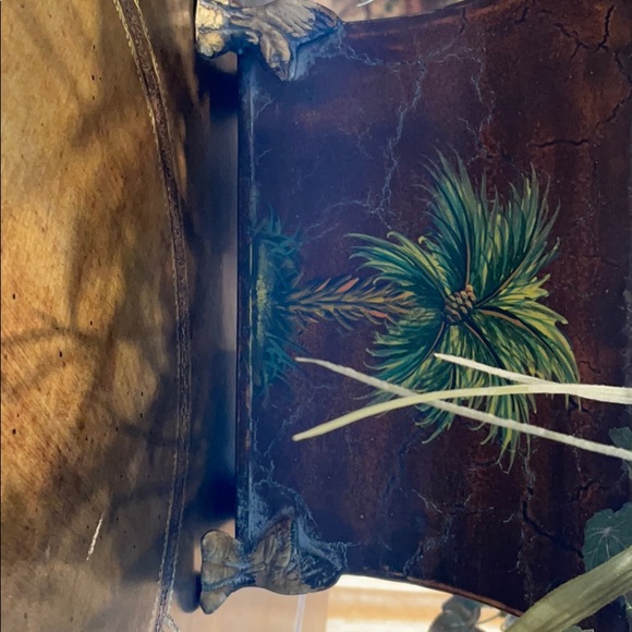 Desktop plant - Picture 2 of 3